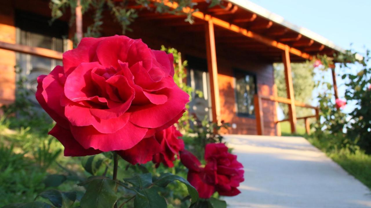 Agroturizem Bylis Hotel Hekal Buitenkant foto