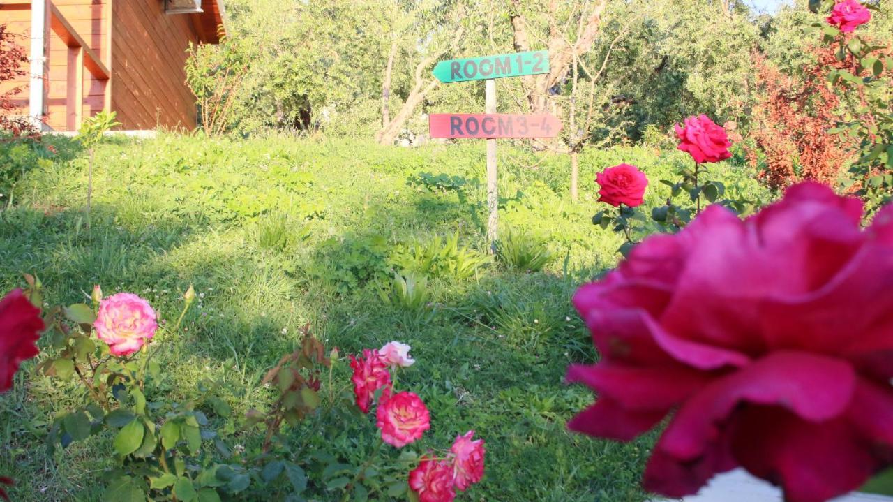 Agroturizem Bylis Hotel Hekal Buitenkant foto