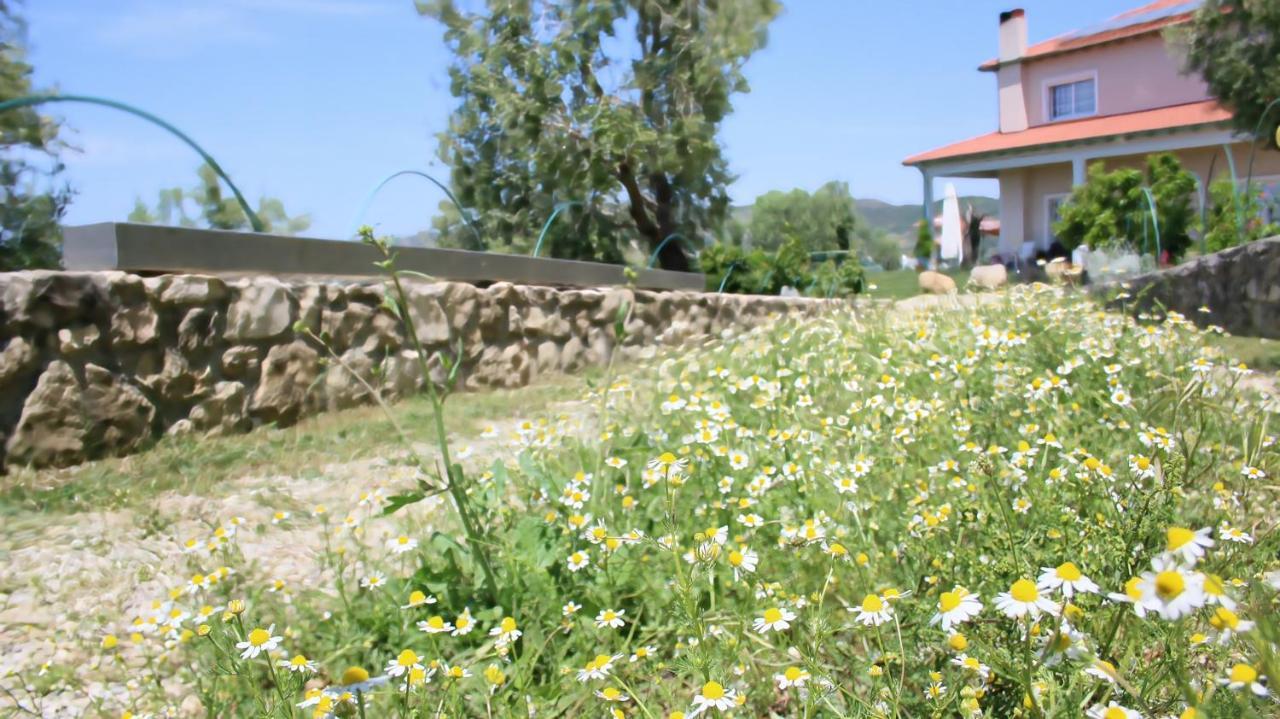 Agroturizem Bylis Hotel Hekal Buitenkant foto