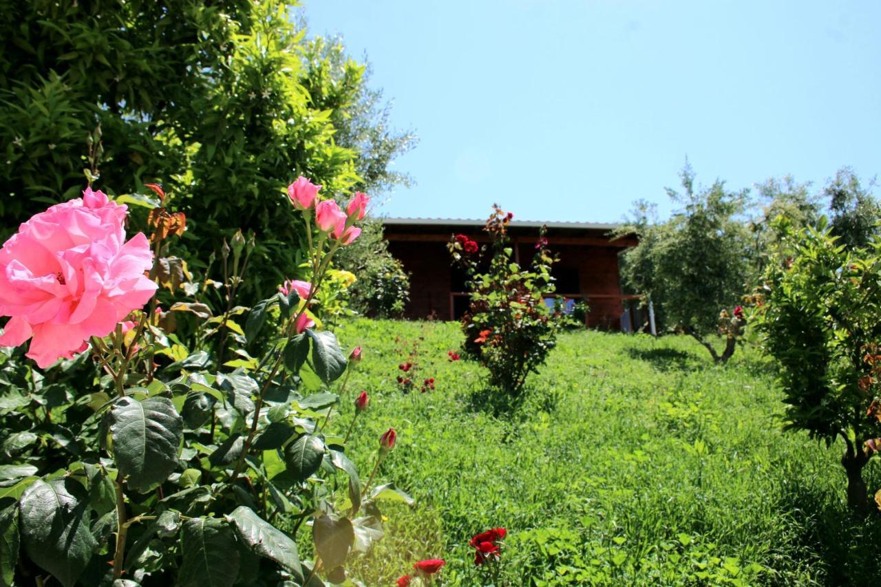 Agroturizem Bylis Hotel Hekal Buitenkant foto